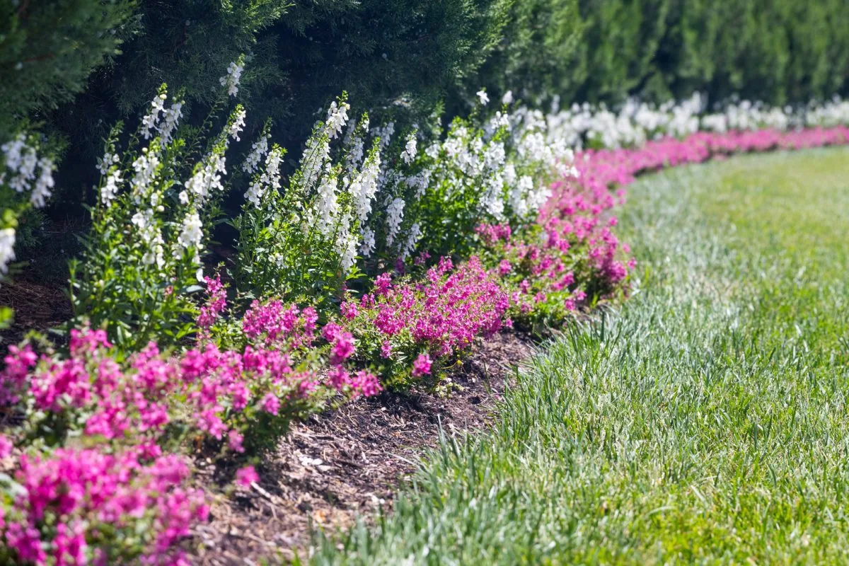 Fox Run Residence landscape design — Landscape St. Louis