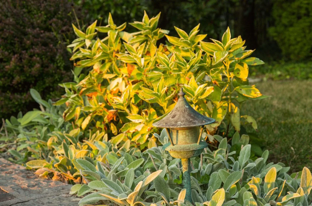 Outdoor landscape and garden St. Louis